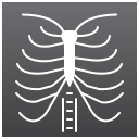 X ray 