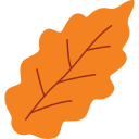 feuille 