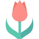 rosa icon