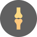 Knee 