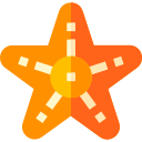 estrella de mar icon