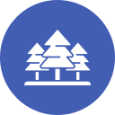 bosque icon