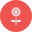 girasol icon