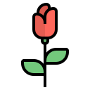 Rosa icon