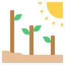 Plantar árbol icon