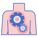 biomecânico 