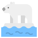 Oso polar 