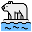 Oso polar 