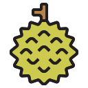 Durian icon