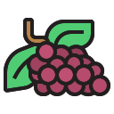 Uvas icon