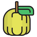 guayaba icon