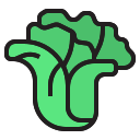 Lechuga icon