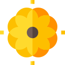 Diseño floral icon