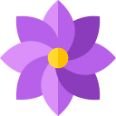 Diseño floral