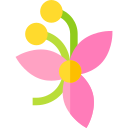 Diseño floral icon