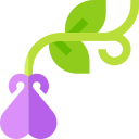 Diseño floral icon