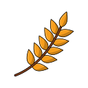 Wheat 