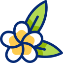 plumeria icon