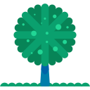 arbre icon