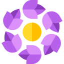 Diseño floral icon