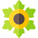 Diseño floral icon