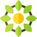 Diseño floral icon