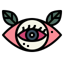 Ojo icon