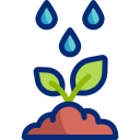 Growing plant 