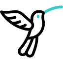 Colibri animated icon