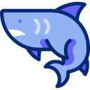 Shark 