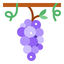 Uvas icon