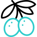 oliven icon