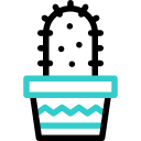 선인장 icon