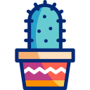 선인장 icon