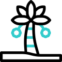 대추야자 icon