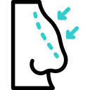 Rhinoplasty icon