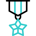 Medal icon