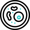 Petri dish 