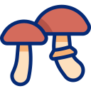 Mushrooms icon