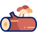 Log with mushrooms icon