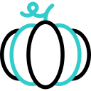 kürbis icon