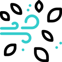 Wind leaves icon