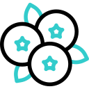blaubeere icon