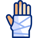 Cast icon