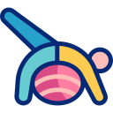 Exercise ball icon