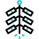Петарда 