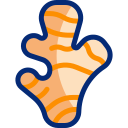 생강 icon