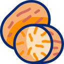 Nutmeg icon