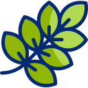 Curry leaves icon