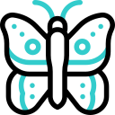 borboleta icon